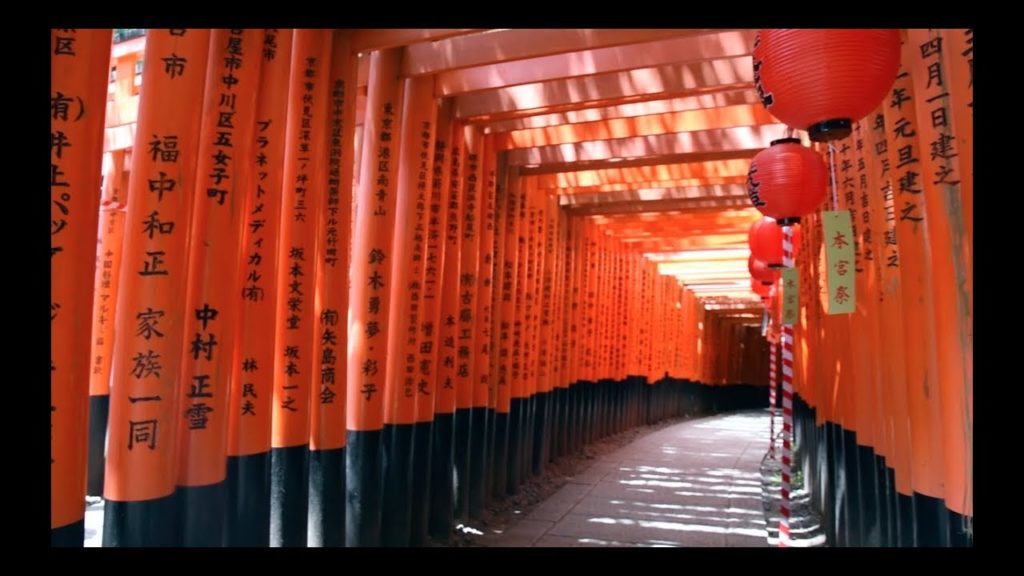 Japan Road Trip | Summer | 23 days