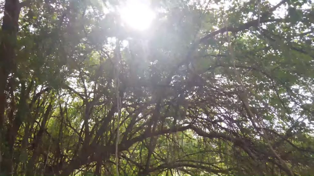 Peaceful walk in the empty streets of Vista Verde South village