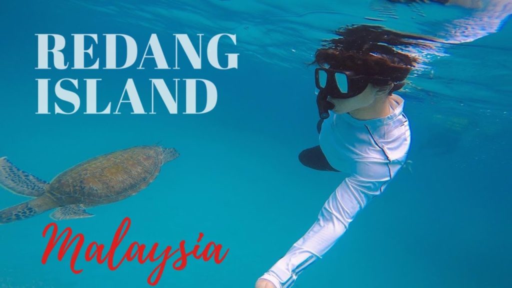 Free Diving, REDANG ISLAND MALAYSIA
