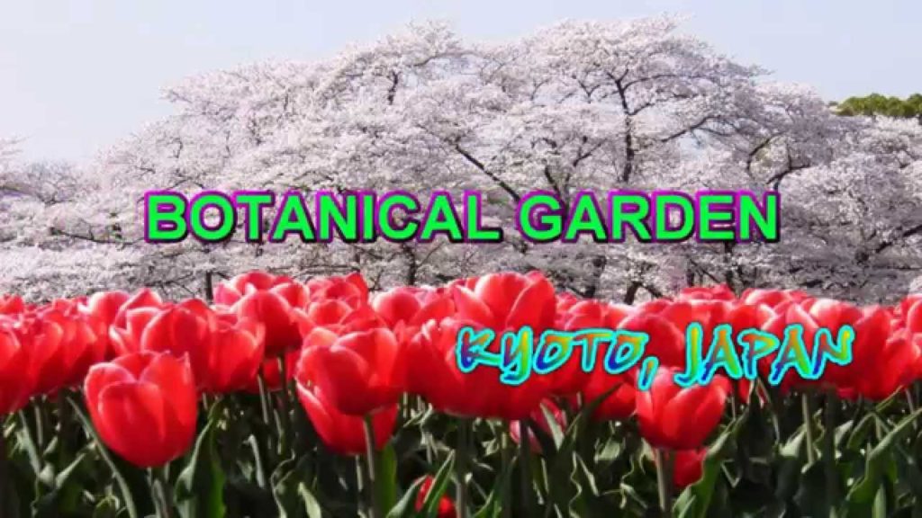 Japan Travel: Kyoto Botanical Garden seasonal beauty, Kyoto, Japan