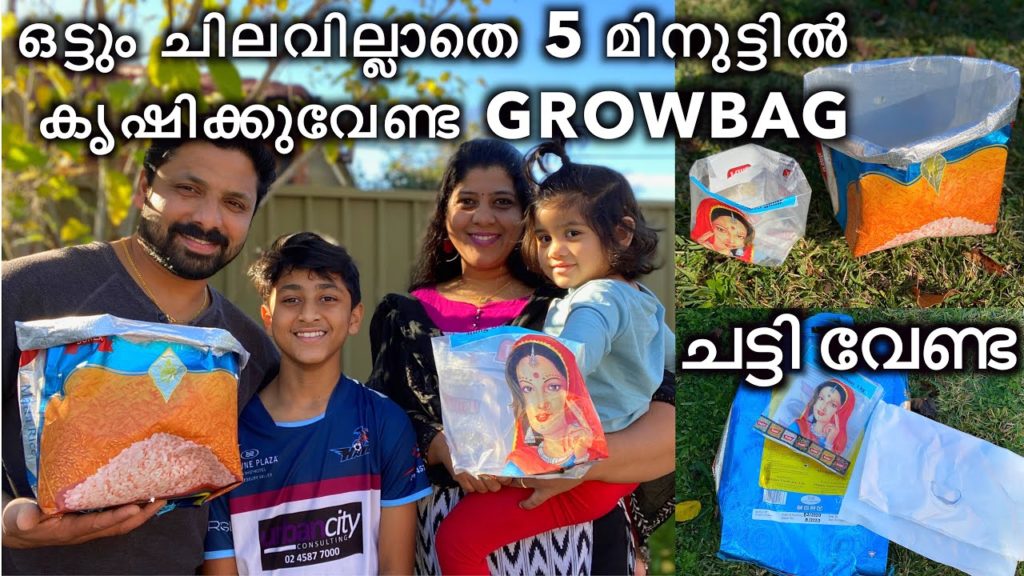 ചട്ടിയും grow bags ഉം വാങ്ങി കാശു കളയണ്ട~How to make grow bag at home~Grow bag Krishi~Malayalam Vlog