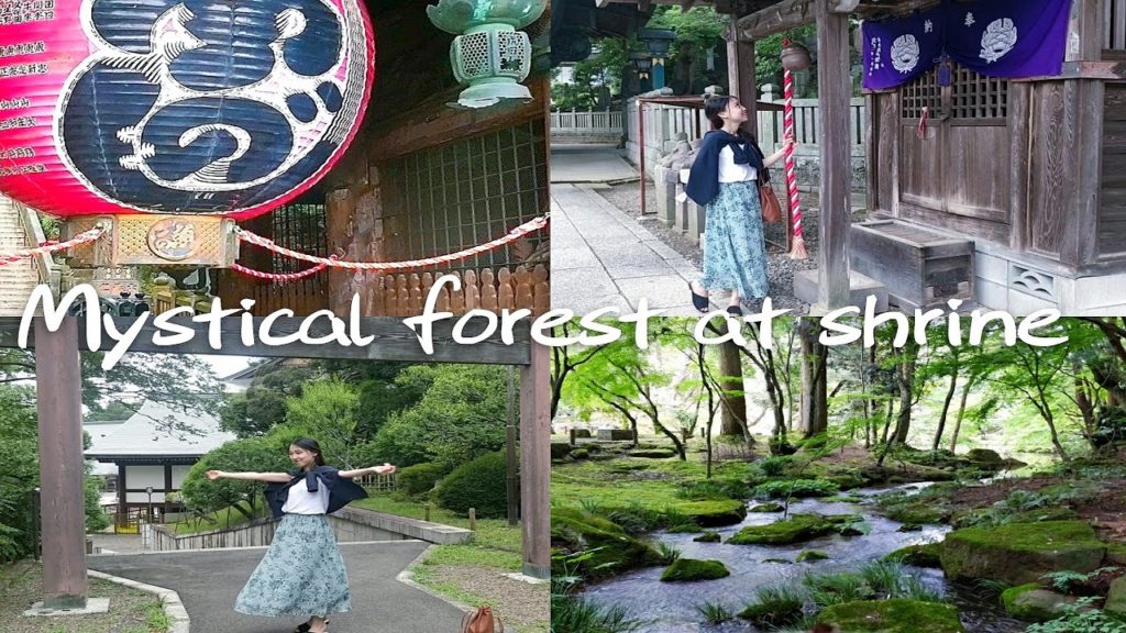 【Travel Vlog】Mystical forest at Narita Shrine｜Japan life