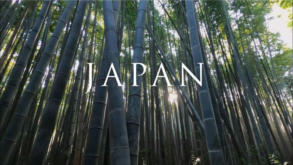 Wandering around Japan