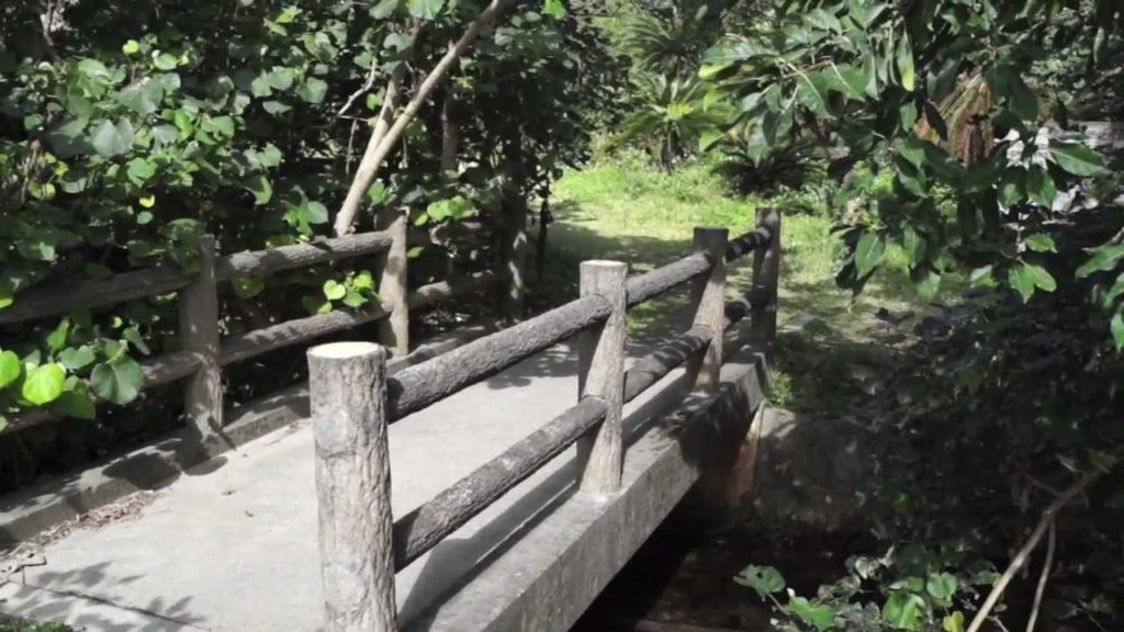Natural Monument Shiokawa 塩川 (Salt River) - Okinawa, Japan