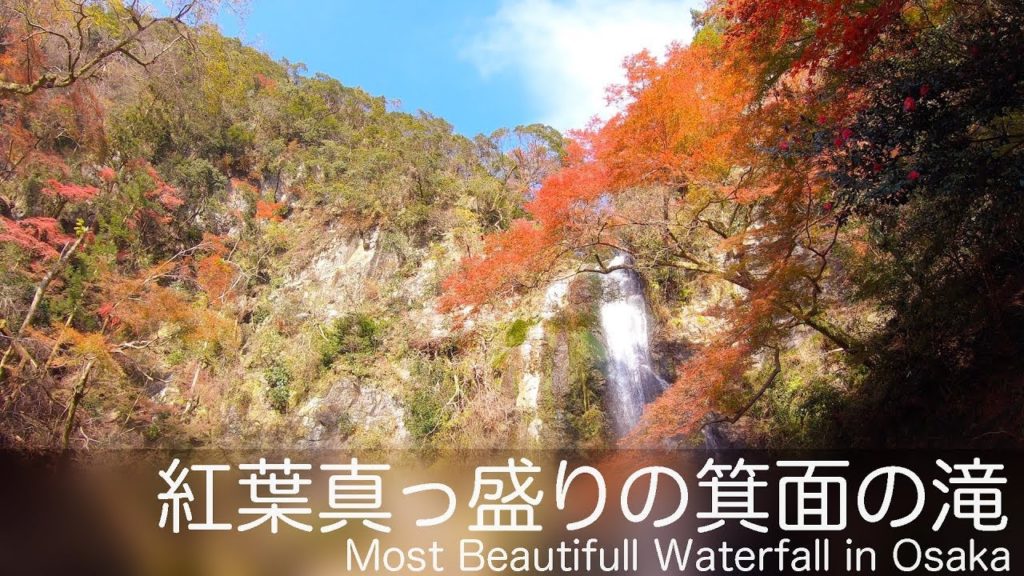 紅葉真っ盛りの箕面の滝 / Most Beautiful Waterfall in Osaka