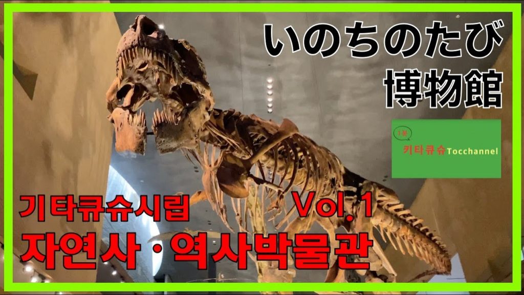 4K【자연사・역사박물관  vol.1・기타큐슈】기타큐슈에서 제일 큰 박물관・하루종일 놀 수 있다・아이들 흥분【いのちのたび博物館・北九州】北九州で一番大きな博物館・一日中遊べる・子ども大興奮