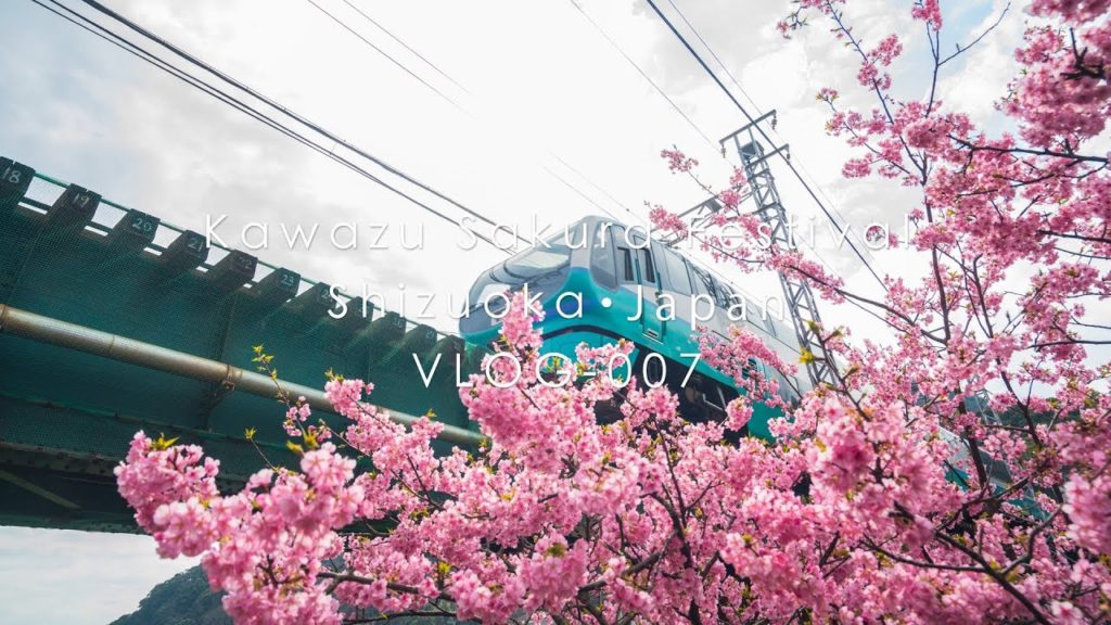 Kawazu Sakura Festival | VLOG #007 Kawazu Sakura Festival | VLOG #007