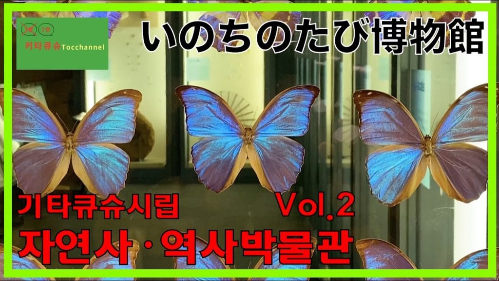 4K【자연사・역사박물관  vol.2・기타큐슈】기타큐슈에서 제일 큰 박물관・하루종일 놀 수 있다・아이들 흥분【いのちのたび博物館・北九州】北九州で一番大きな博物館・一日中遊べる・子ども大興奮