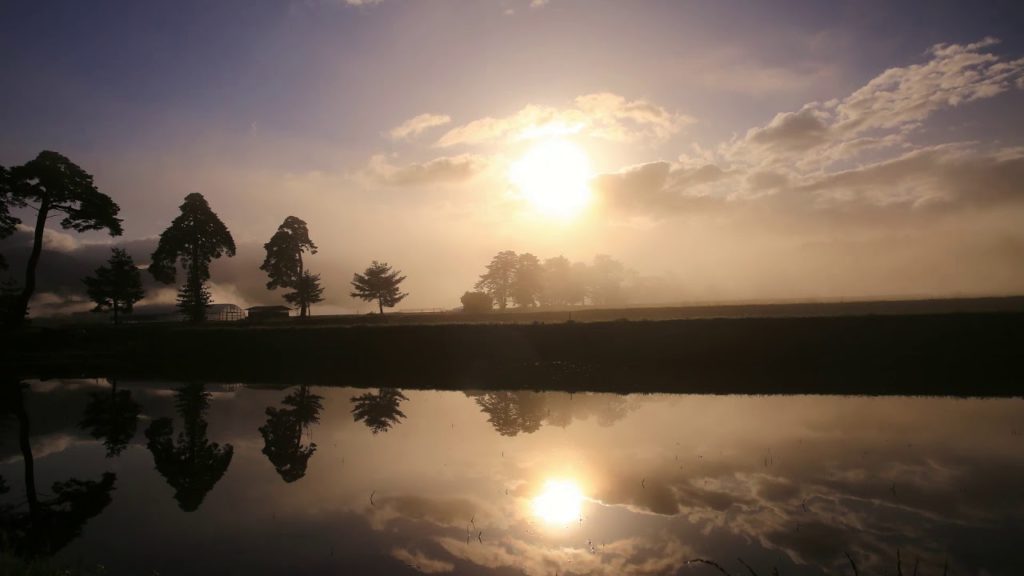 Japan 1minute Travel Nagano Chino（濃霧で幻想的な風景を見せてくれた湖東風除けの松）
