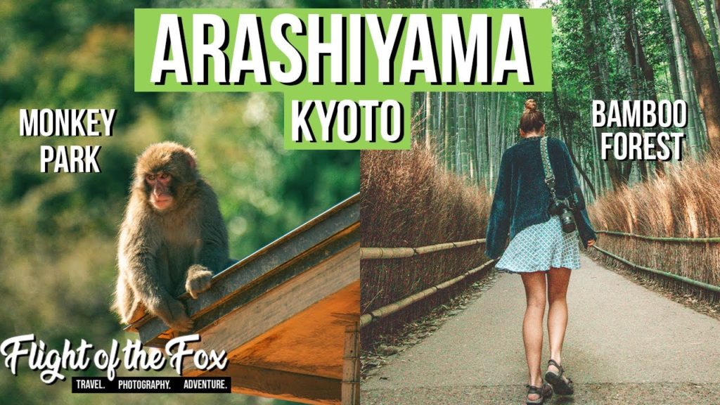 Arashiyama, Kyoto | Bamboo Forest, Monkey Park & Romantic Train