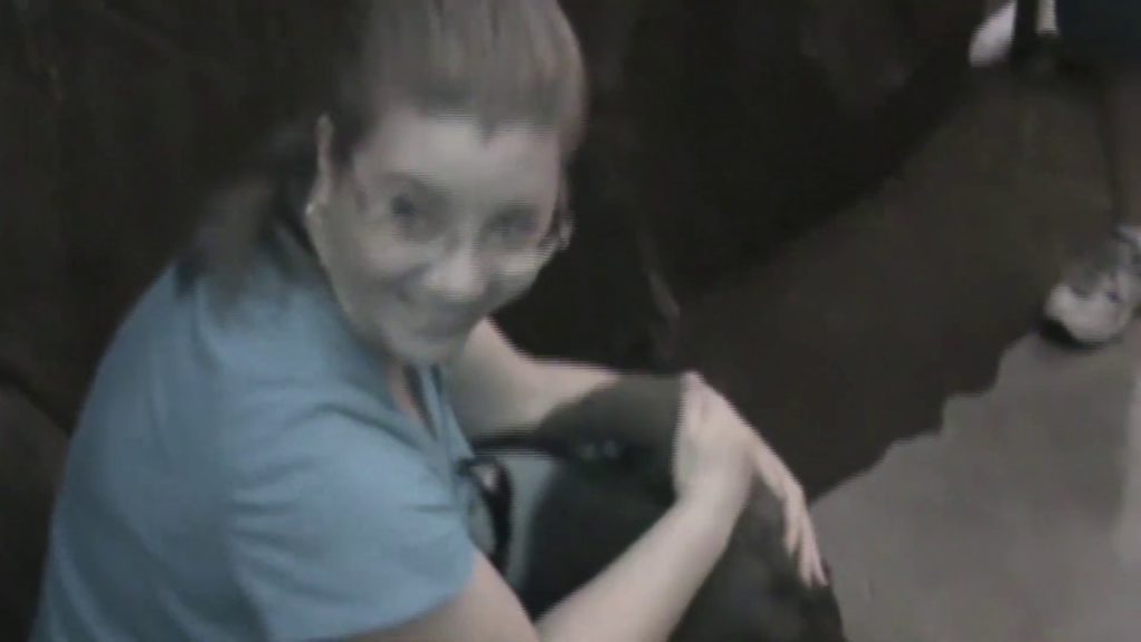 Our Seaworld Trip with Manny 2013