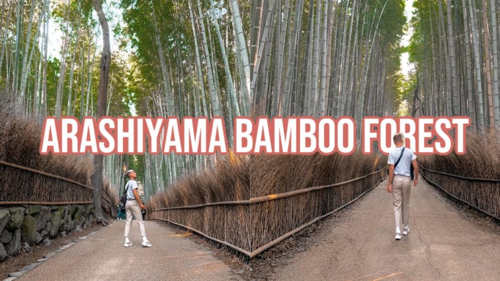 BAMBOO FOREST KYOTO JAPAN  - (full guide)
