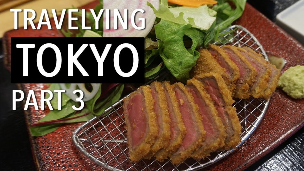 Travel-ying Tokyo Japan Part 3