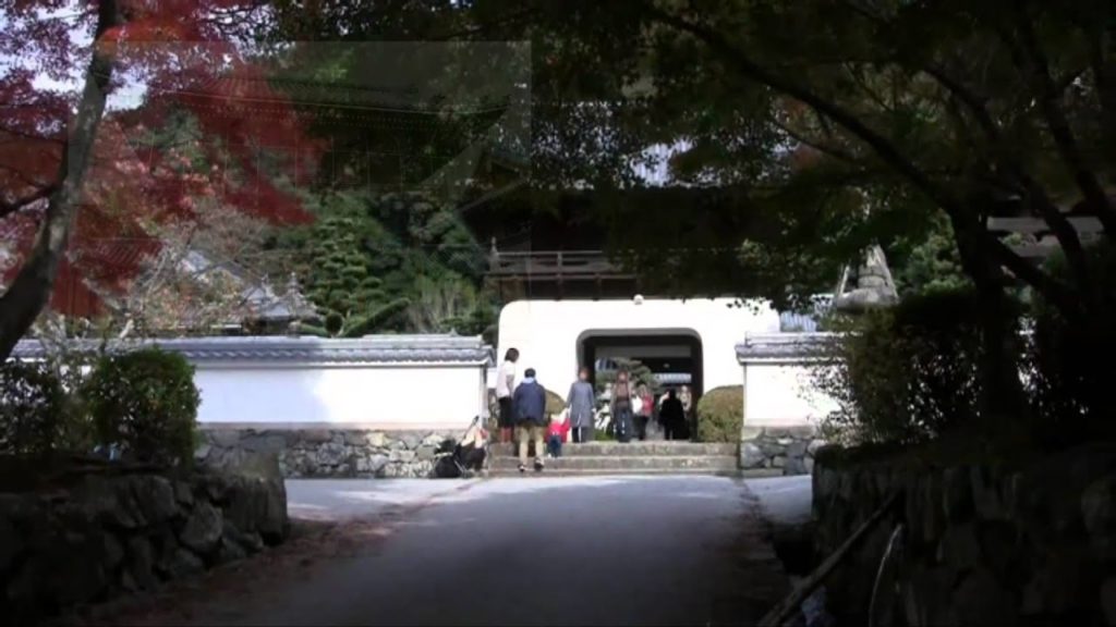 Japan Trip: Koshoji Temple apricot flowers & autumn leaves, Kyoto, Japan