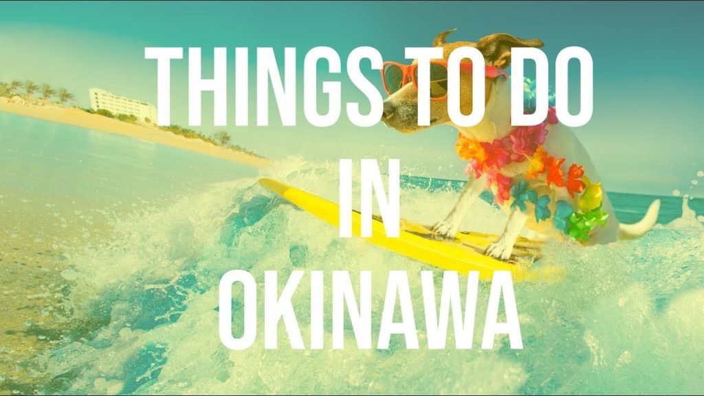 Okinawa Adventures | Things to Do in Okinawa | Activity Japan