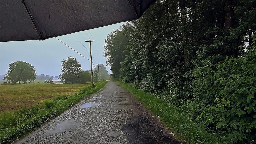 Rain Walk on Barnston Island and Surrey Bend Regional Park