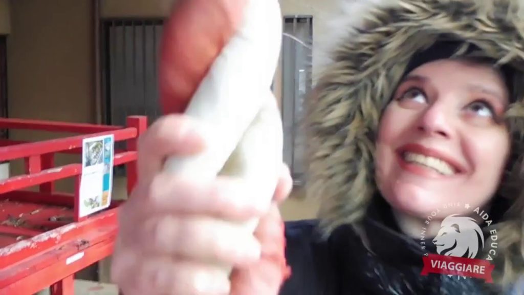 GIAPPONE - TOKYO GRATIS: Tour della Fortuna 3/8 - Benzaiten - Hoshuin - successo e ricchezza