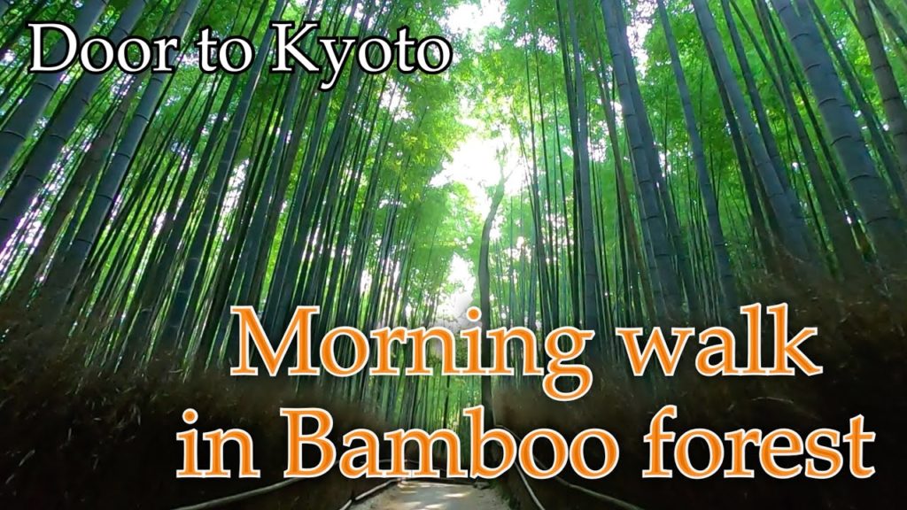 Door to Kyoto - Relaxing Bamboo forest