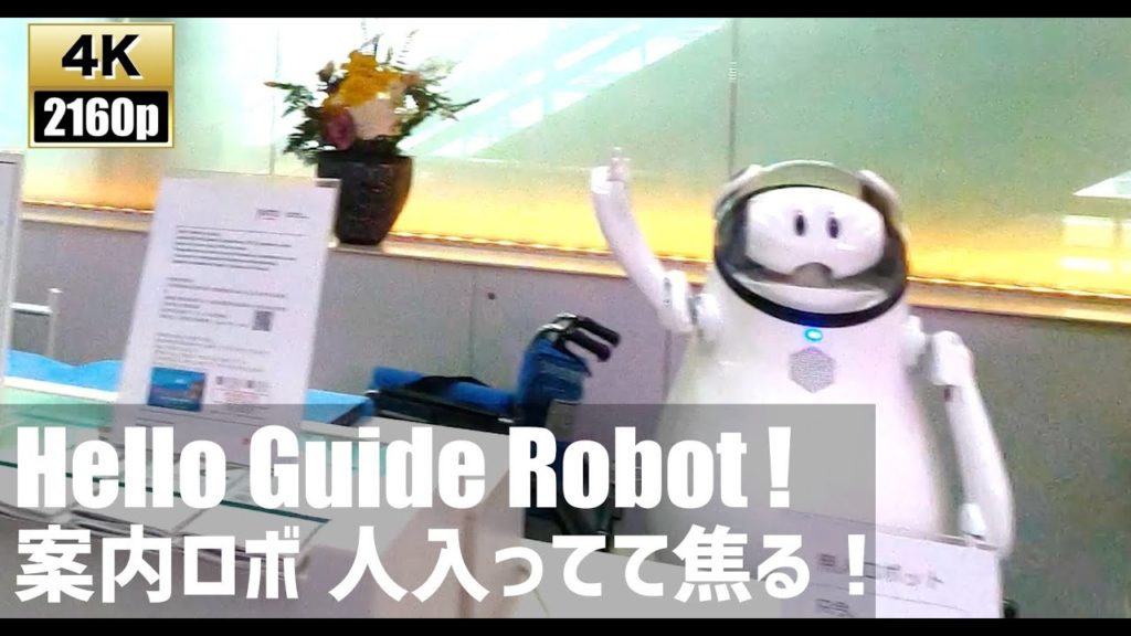 Tokyo Haneda International Airport(Guide robot appears)【4K60fps－Japan Travel】 2020.6
