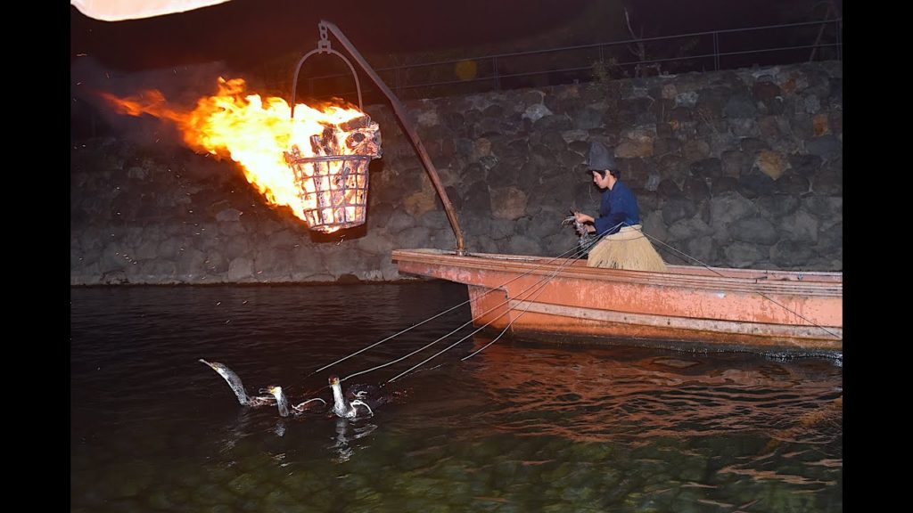 Ukai - Japanese Fishing with Cormorant Birds in Uji, Kyoto 鵜飼