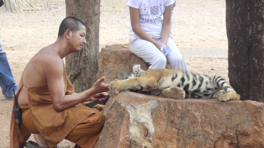 The Clueless Traveler Honeymoon Edition Part 1