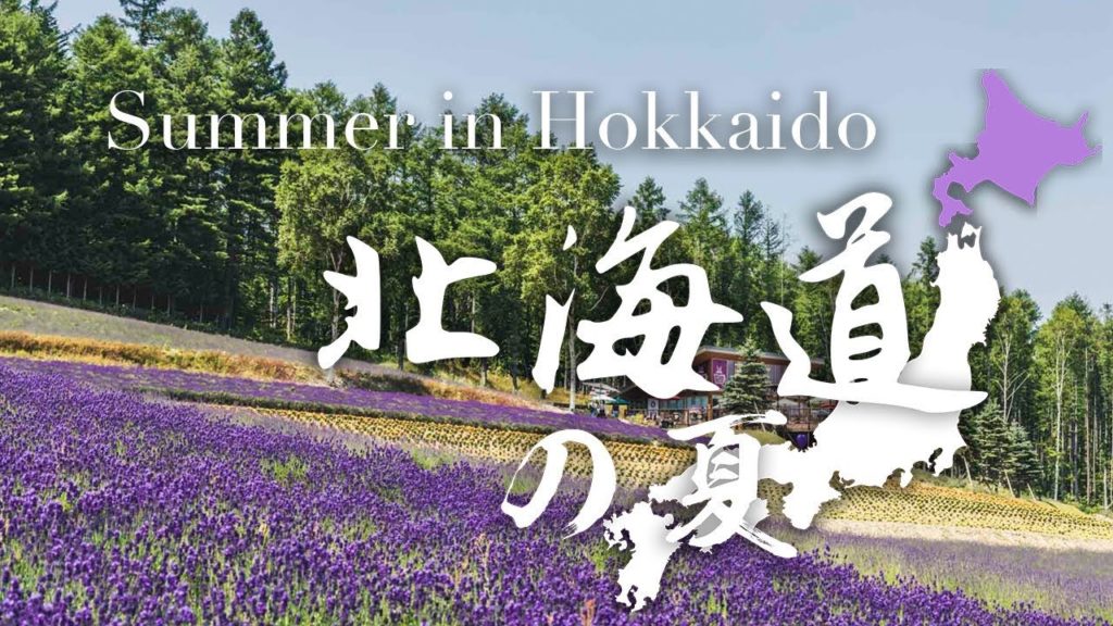 Summer in Hokkaido 北海道の夏 2019 | still travelling 静行中 #01 Summer in Hokkaido 北海道の夏 2019 | still travelling 静行中 #01