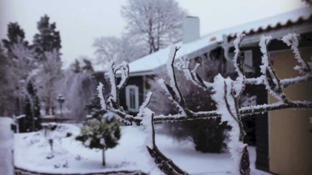 The Swedish Winter 2013 (Småland) The Swedish Winter 2013 (Småland)