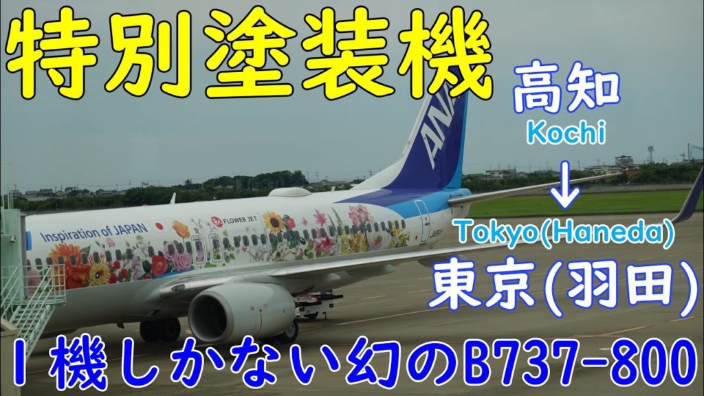 ANAで1機しかないフラワージェットに搭乗！高知→東京(羽田) B737-800