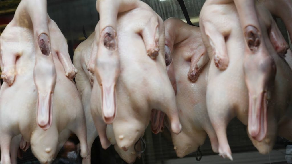 Japanese Food　Roasted duck in Yokohama Chaina Town