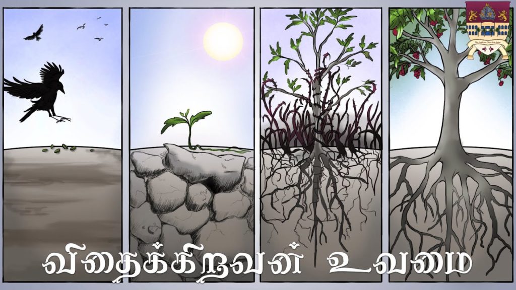 6th Weekend of Pentecost