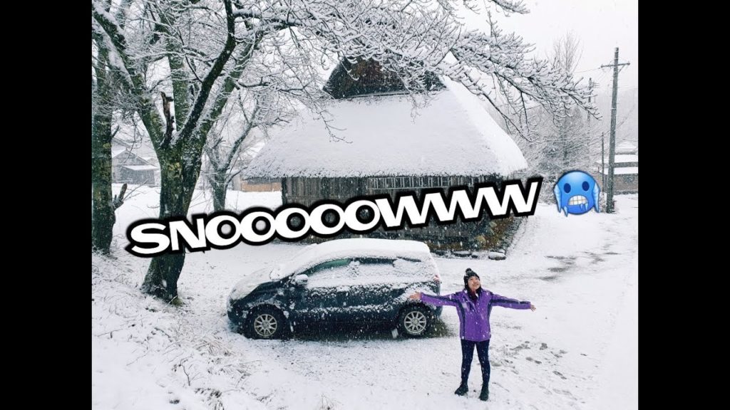 Snow in Nagoya, Japan 🥶