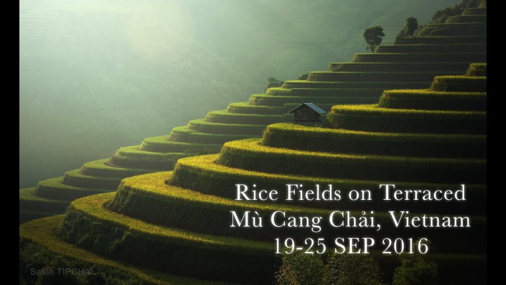 Trailer : Rice Fields on Terraced