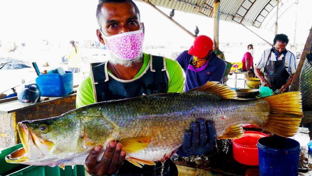 Cutting Sea Bass Fish | Fish Cutting Skills