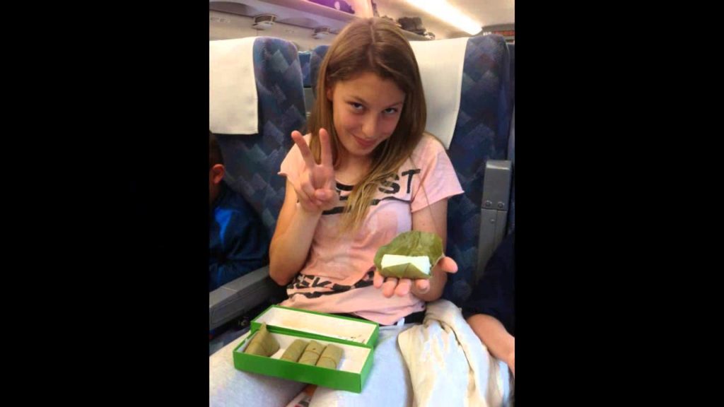 japan trip spring 2013 Cherry Blossom chidorigafuchi kyoto tokyo ghibli museum