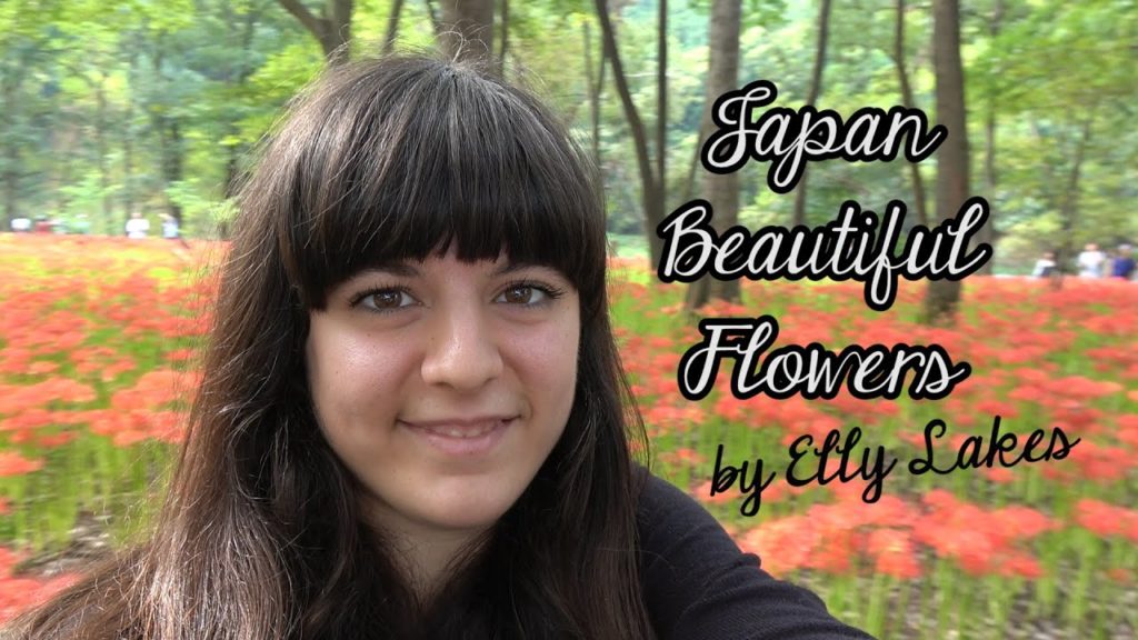 Japan Virtual Tour - Japan Beautiful Flowers by Elly Lakes