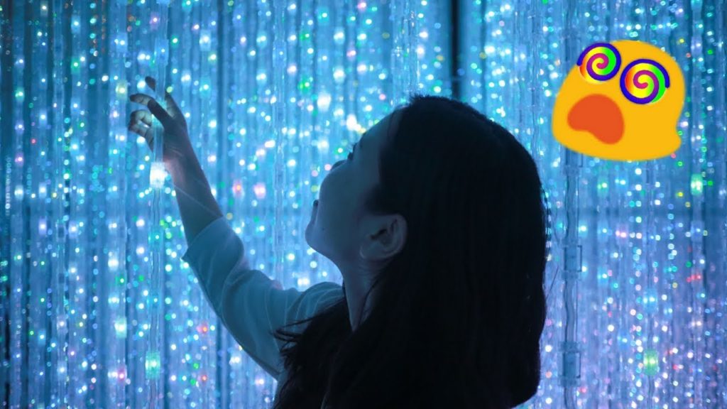 Attempting To Climb Mt.Fuji The Rain & ⫷ TRIPPY ART MUSEUM ⫸