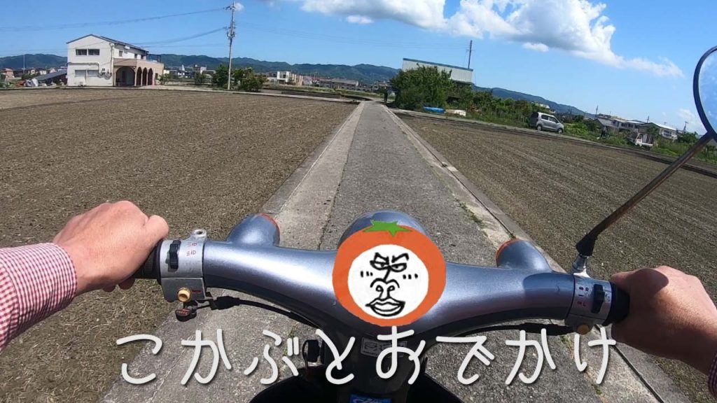 こかぶとおでかけ 和歌山市西和佐地区界隈ツーリング Travel Japan うろうろ和歌山