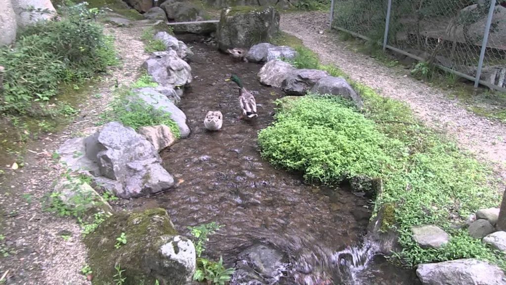 Kyoto jour 2 (partie 2) On s'égard dans le quartier Higashi Yama et Eikan do (Japon)