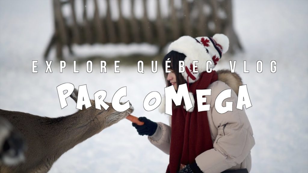 Cinematic Canada - Explore Quebec VLOG Part 1丨Parc Omega