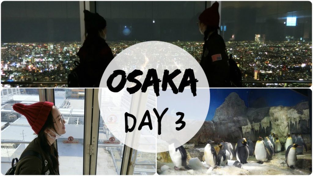日本大阪自由行 #3 OSAKA TRAVEL VLOG 2017 日本企鵝超會賣萌der | ShirleyXN
