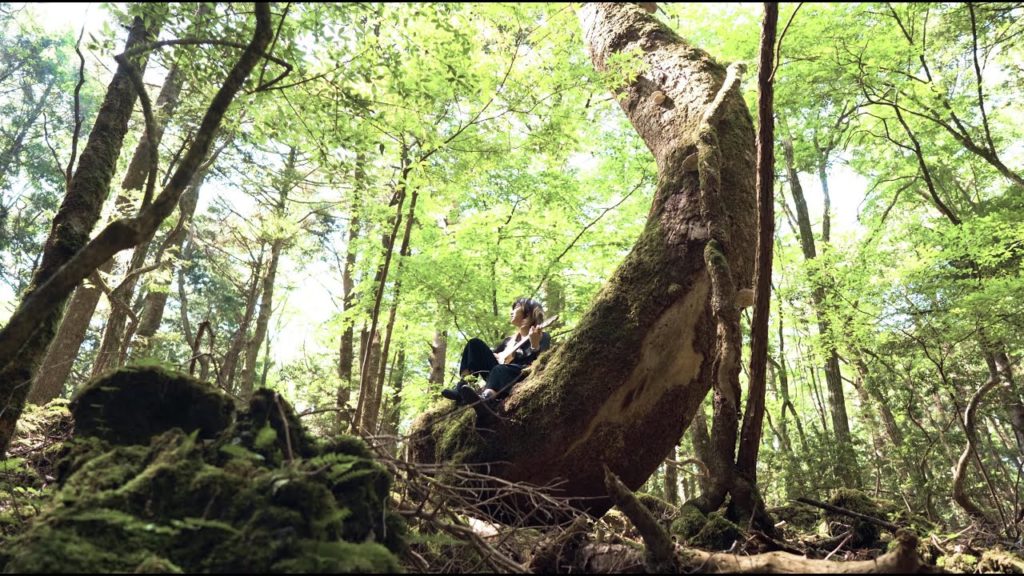 【4K/ASMR】Mora Mothaus and Forest Orchestra / begiんend / Aokigahara Jukai(Yamanashi)/Japan
