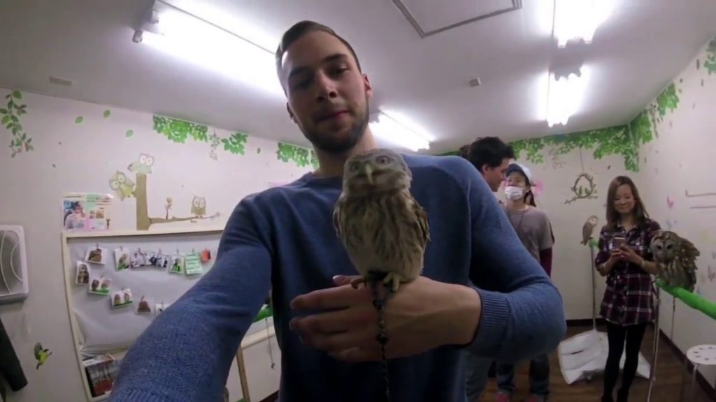 Trip to Tokyo (Cherry Blossom Season) - Switch to 720p HD Quality