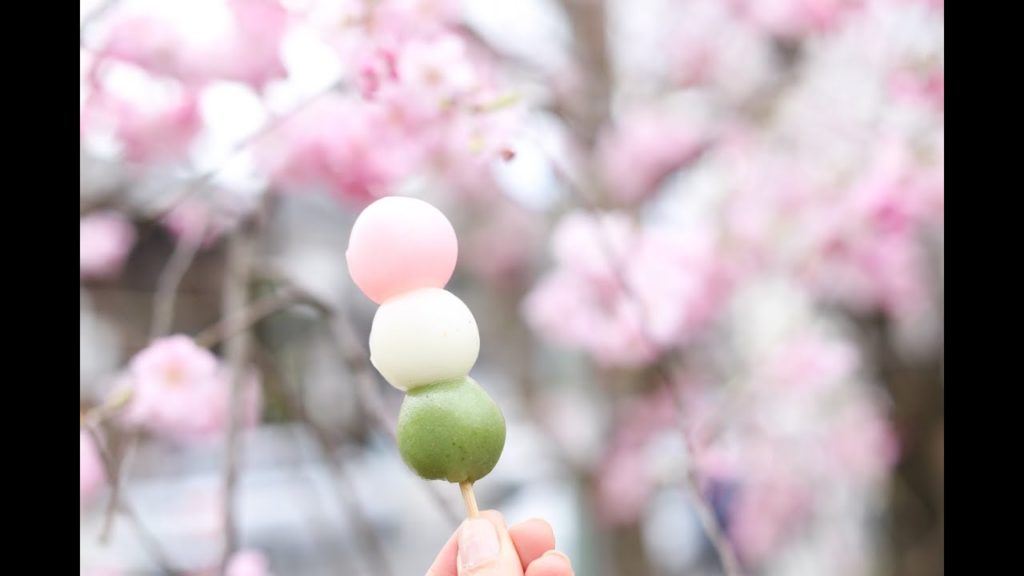 Good Morning Japan Vlog: Days 10 to 12 Good Morning Japan Vlog: Days 10 to 12