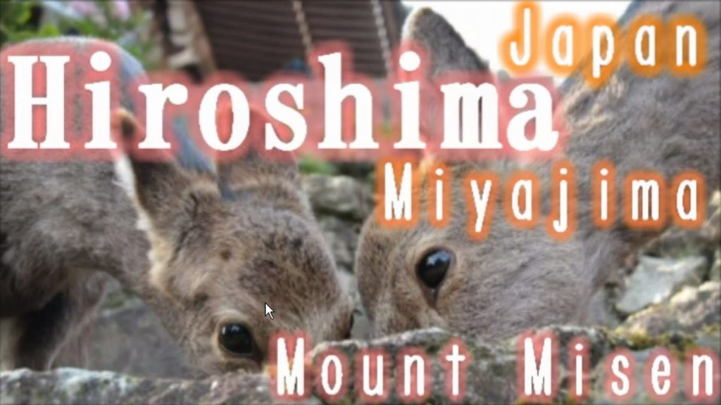 Japan Trip: Climbing Natural Beauty and Spirituality  Mount Misen, Miyajima, Hiroshima 18 Moopon