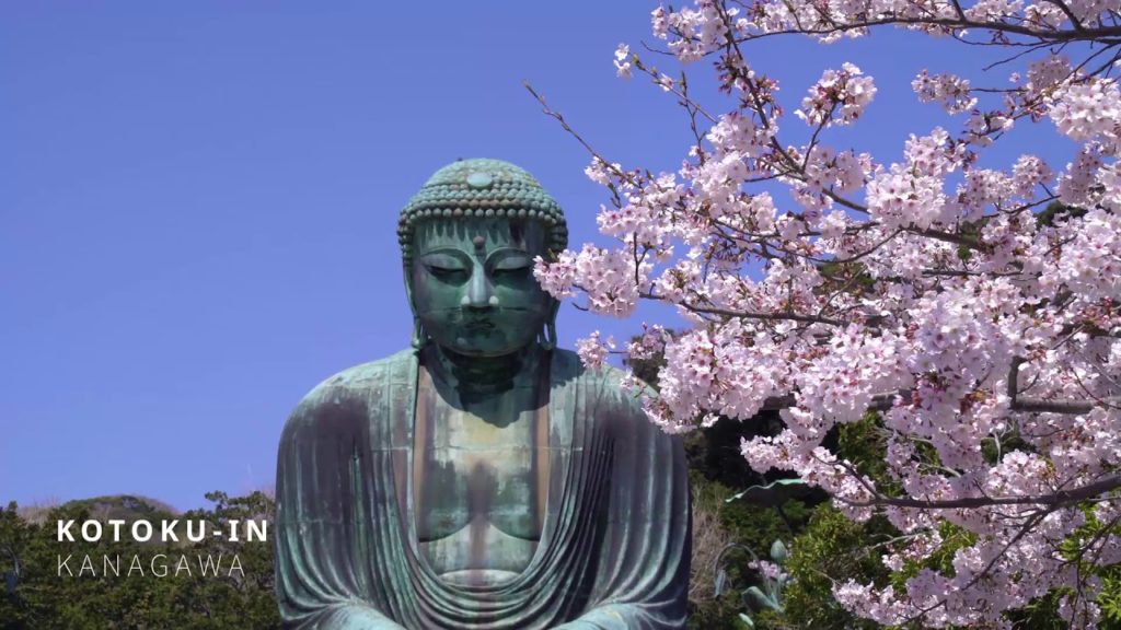 Best Cherry Blossom Spots in Japan- LIVE JAPAN Best Cherry Blossom Spots in Japan- LIVE JAPAN