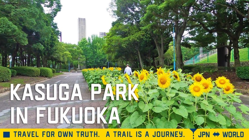 福岡県春日市、春日公園に行ってきた 福岡県春日市、春日公園に行ってきた