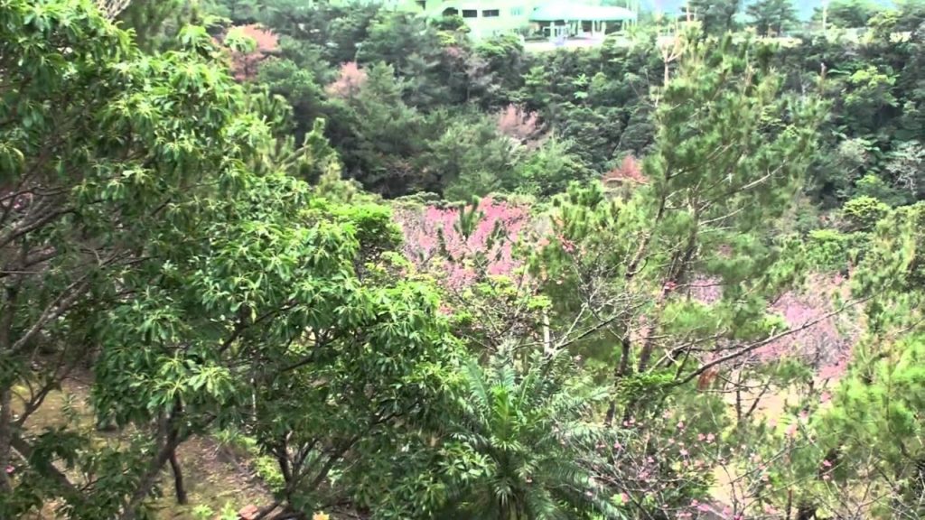Nangusuku Hill Observation Deck