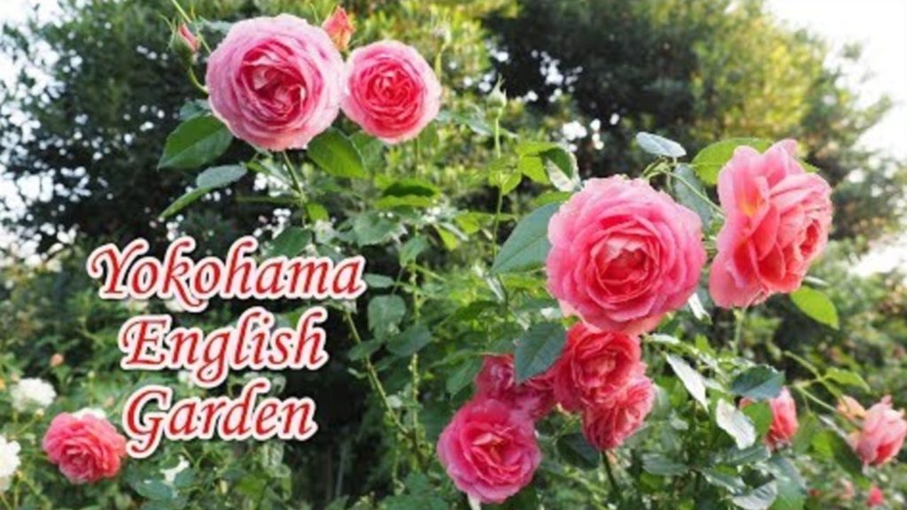 Yokohama English Garden | Japan Yokohama English Garden | Japan