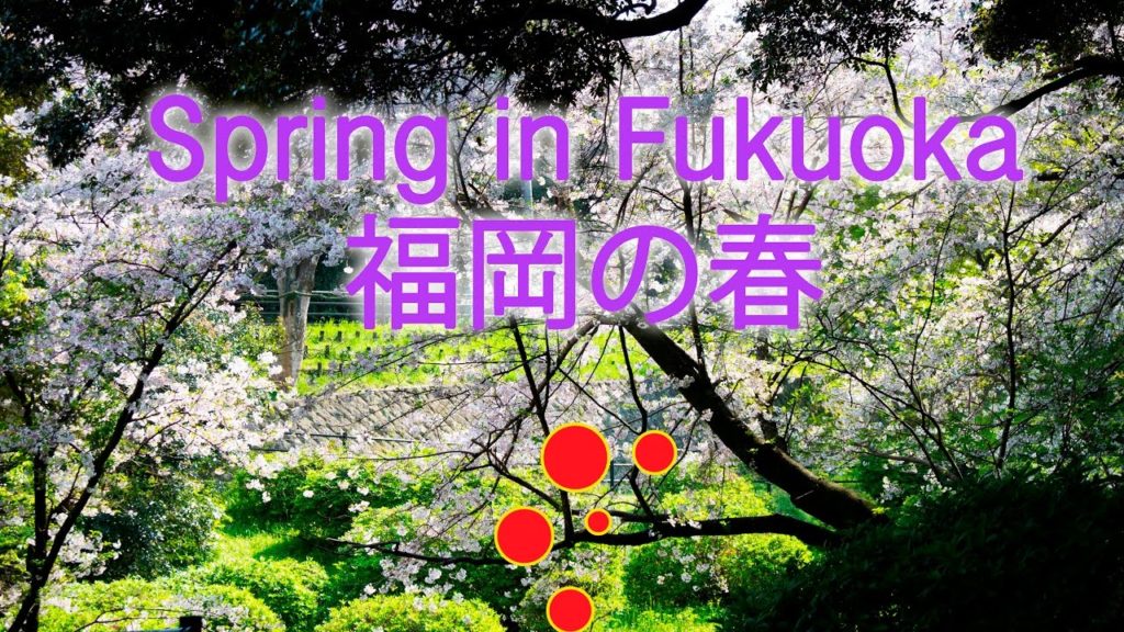 Spring in Fukuoka