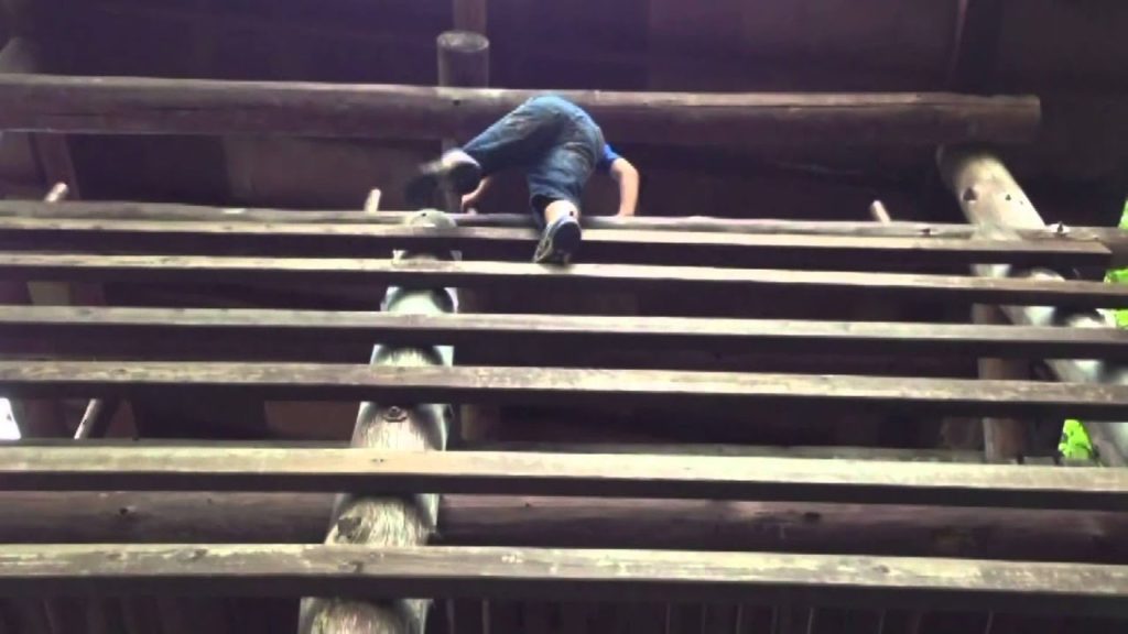 Japan Travel: Kids Ninja Village exciting experience, Japan, Nagano038